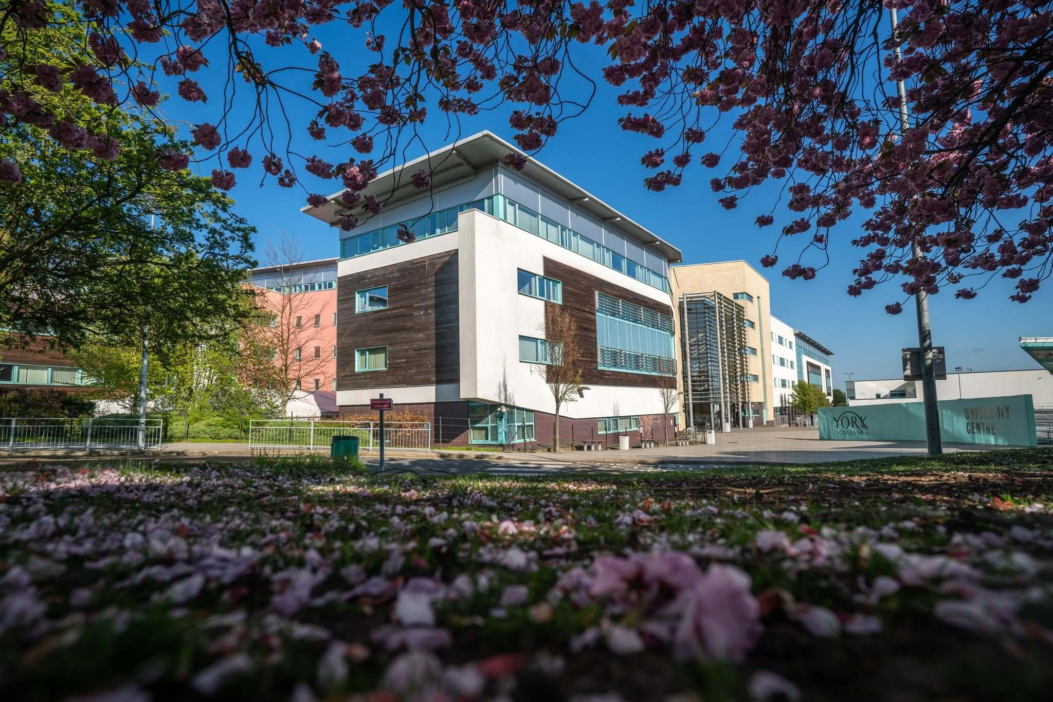 York College logo